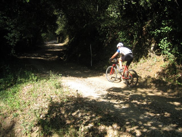 IMG_1951.JPG
