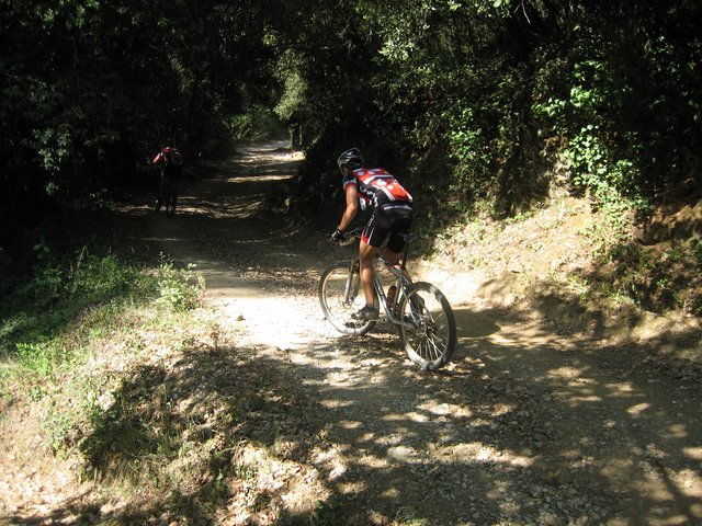 IMG_1961.JPG