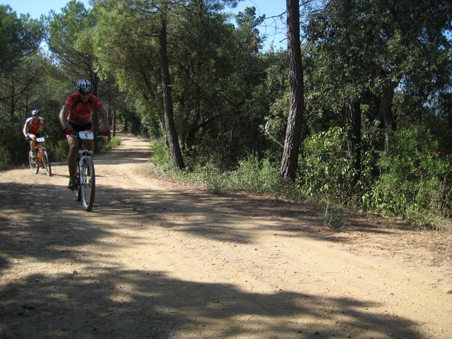 IMG_2791.JPG
