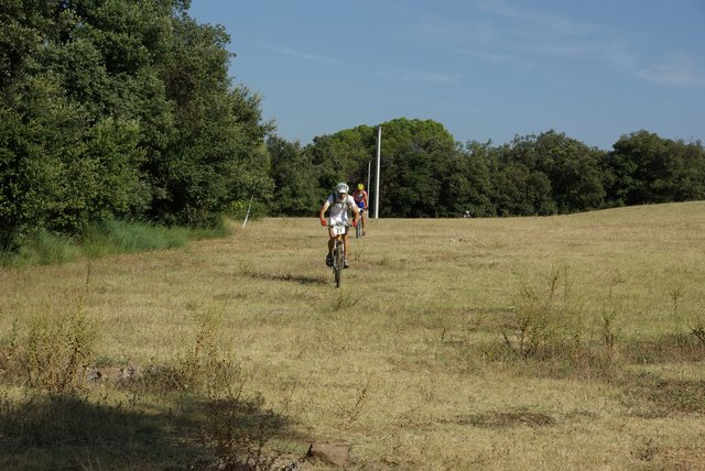 IMGP0508.JPG