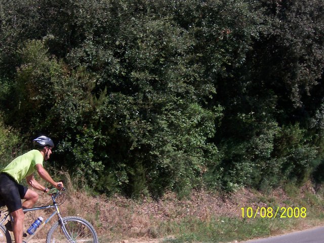 100_6318.jpg