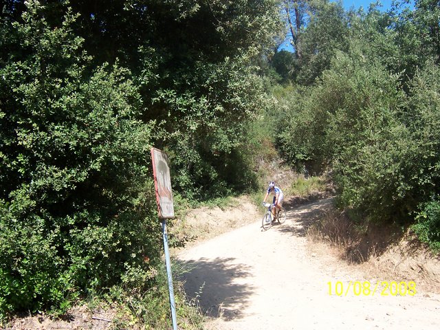 100_6333.jpg