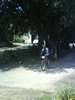 DSC02411