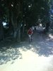 DSC02343