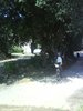 DSC02375