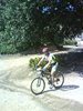 DSC02386
