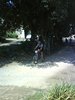DSC02392