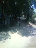 DSC02342