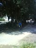 DSC02391