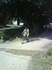 DSC02349