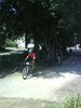 DSC02387