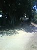 DSC02345