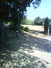 DSC02341